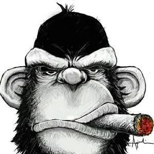 Meet your Posher, Haemin